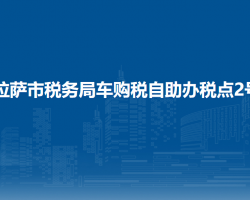 拉薩市稅務(wù)局車購稅自助辦