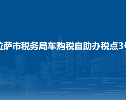 拉薩市稅務(wù)局車購稅自助辦