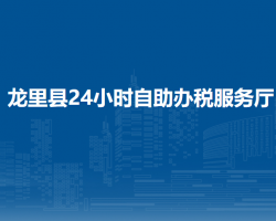 龍里縣24小時自助辦稅服