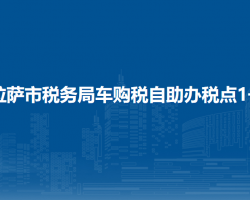 拉薩市稅務(wù)局車購稅自助辦