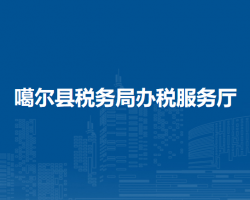 噶爾縣稅務(wù)局辦稅服務(wù)廳