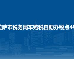 拉薩市稅務(wù)局車購稅自助辦