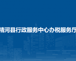 精河縣行政服務(wù)中心辦稅服