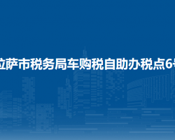 拉薩市稅務(wù)局車購稅自助辦