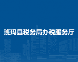 班瑪縣稅務(wù)局辦稅服務(wù)廳
