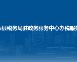 新源縣稅務(wù)局駐政務(wù)服務(wù)中