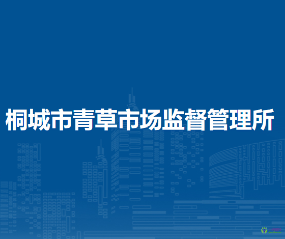 桐城市青草市場(chǎng)監(jiān)督管理所