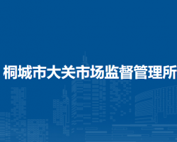 桐城市大關(guān)市場監(jiān)督管理所