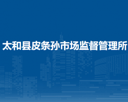 太和縣皮條孫市場監(jiān)督管理