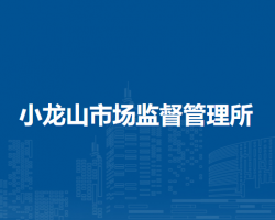 安慶市宜秀區(qū)小龍山市場監(jiān)督管理所