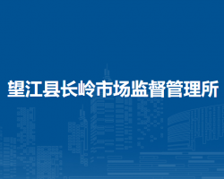 望江縣長嶺市場監(jiān)督管理所