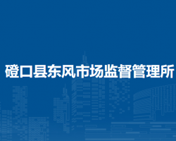 磴口縣東風(fēng)市場(chǎng)監(jiān)督管理所