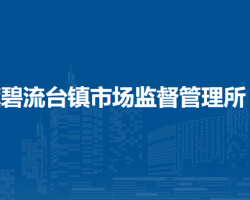 巴林左旗碧流臺鎮(zhèn)市場監(jiān)督管理所