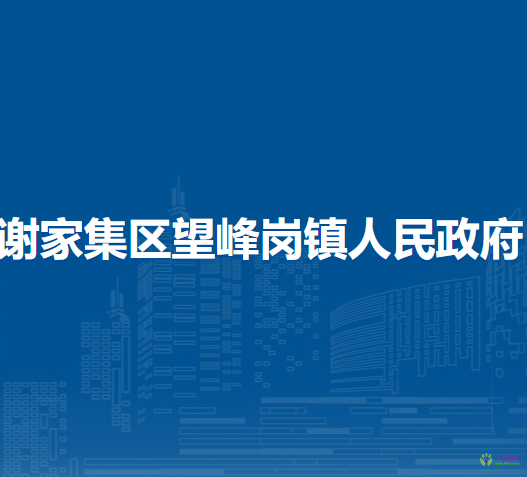 淮南市謝家集區(qū)望峰崗鎮(zhèn)人民政府