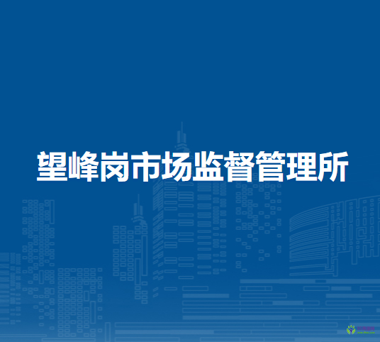 淮南市謝家集區(qū)望峰崗市場(chǎng)監(jiān)督管理所