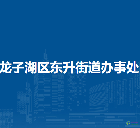 蚌埠市龍子湖區(qū)東升街道辦事處