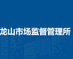 蕪湖經(jīng)濟技術(shù)開發(fā)區(qū)龍山市