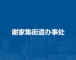 淮南市謝家集區(qū)謝家集街道辦事處