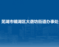 蕪湖市鏡湖區(qū)大礱坊街道辦事處