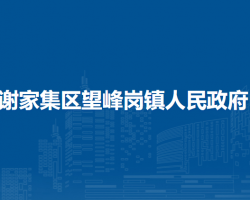 淮南市謝家集區(qū)望峰崗鎮(zhèn)人民政府