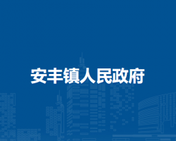 壽縣安豐鎮(zhèn)人民政府