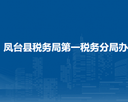 鳳臺縣稅務(wù)局第一稅務(wù)分局辦稅服務(wù)廳駐縣政務(wù)服務(wù)中心