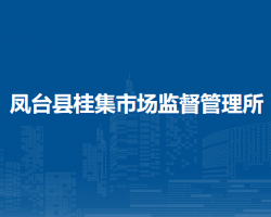 鳳臺(tái)縣桂集市場(chǎng)監(jiān)督管理所