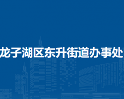 蚌埠市龍子湖區(qū)東升街道辦事處