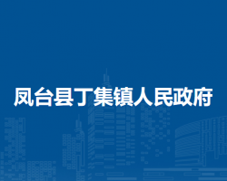 鳳臺縣丁集鎮(zhèn)人民政府