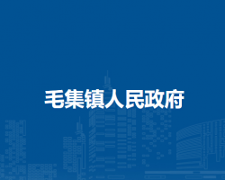 毛集鎮(zhèn)人民政府