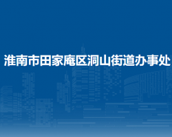 淮南市田家庵區(qū)洞山街道辦事處