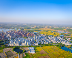 肥西縣柿樹崗鄉(xiāng)人民政府