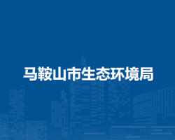 馬鞍山市交通運輸局