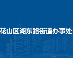 馬鞍山市花山區(qū)湖東路街道