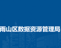 馬鞍山市雨山區(qū)數據資源管
