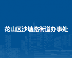 馬鞍山市花山區(qū)沙塘路街道