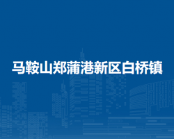 馬鞍山鄭蒲港新區(qū)白橋鎮(zhèn)人民政府