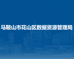 馬鞍山市花山區(qū)數據資源管