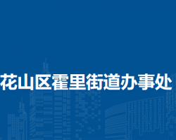馬鞍山市花山區(qū)霍里街道辦